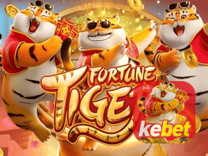 bet_主图